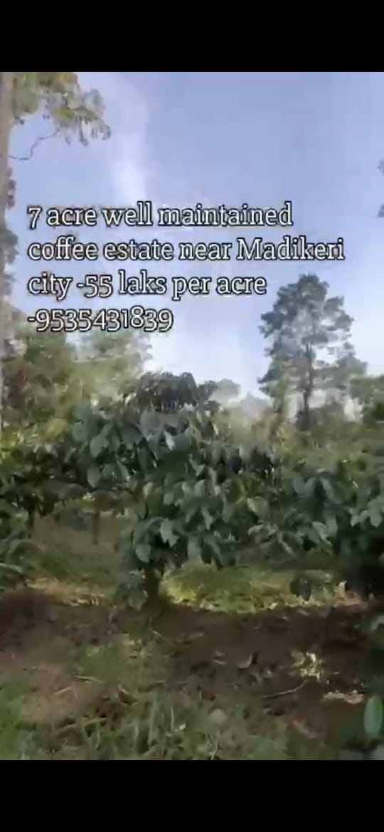 *property id 5179*  🆔 *Exclusive 7 Acre Premium Coffee Estate – Near Madikeri*